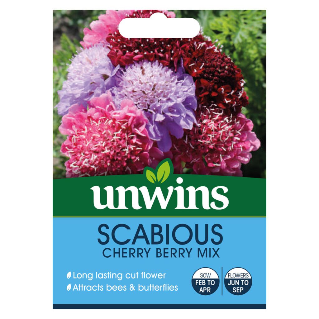 Unwins Scabious Cherry Berry Mix Seeds 5051618032841 2